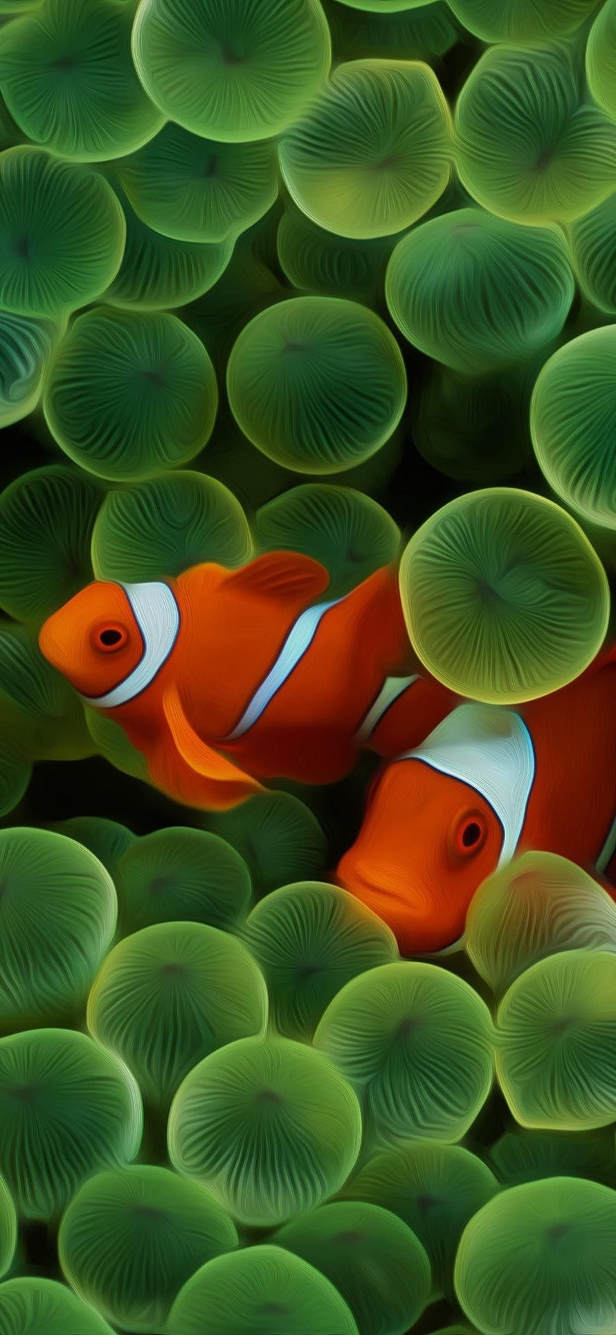 Vibrant Orange Clownfish Swimming Among Lush Green Sea Anemone Tentacles HD phone wallpaper