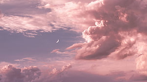 Crescent Moon in a Dreamy Pink Cloudy Sky at Twilight HD wallpaper