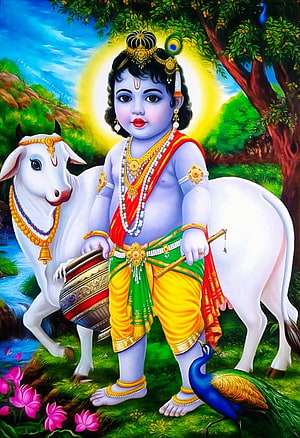 Lord Krishna as a child with white cow, peacock, and lotus flowers in a lush green forest HD phone wallpaper