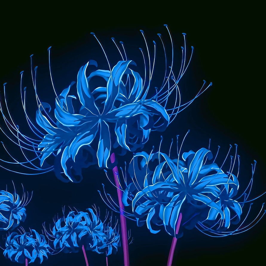 Glowing Blue Spider Lily Flowers with Neon Stems on Dark Background HD phone wallpaper