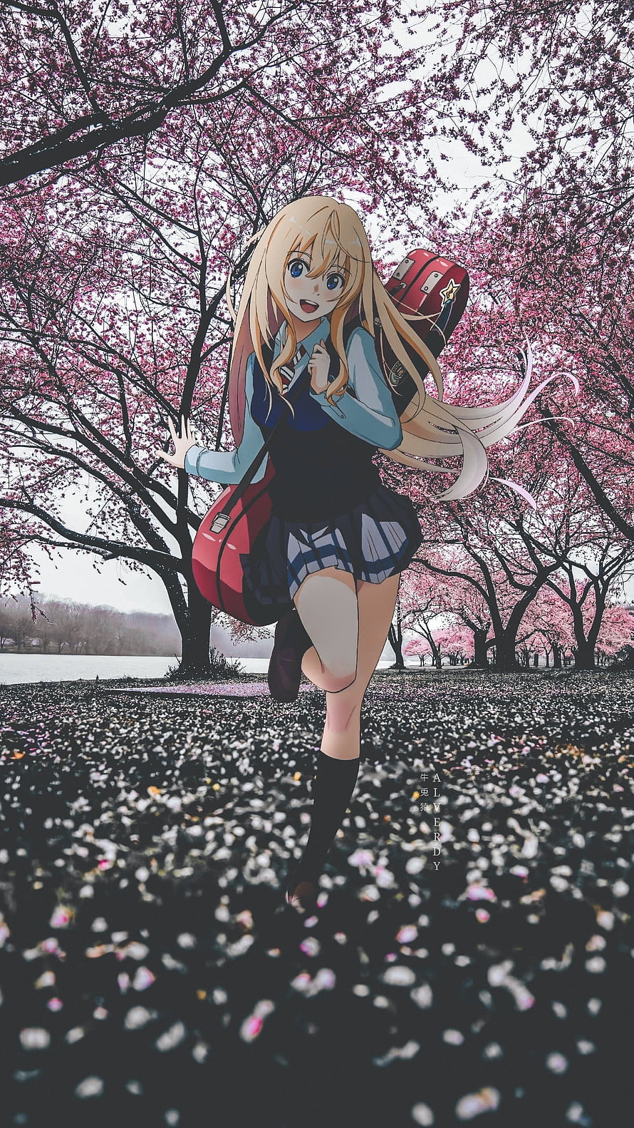 Kaori Miyazono from Your Lie in April Walking Through Cherry Blossoms HD phone wallpaper