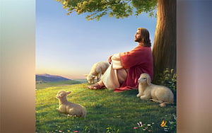 Jesus as the Good Shepherd Resting Under a Tree with Lambs in a Pastoral Meadow HD wallpaper