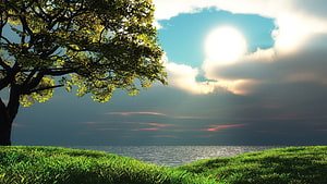 Serene Lakeside Landscape with Lush Green Grass and a Large Tree Under a Bright Sky HD wallpaper
