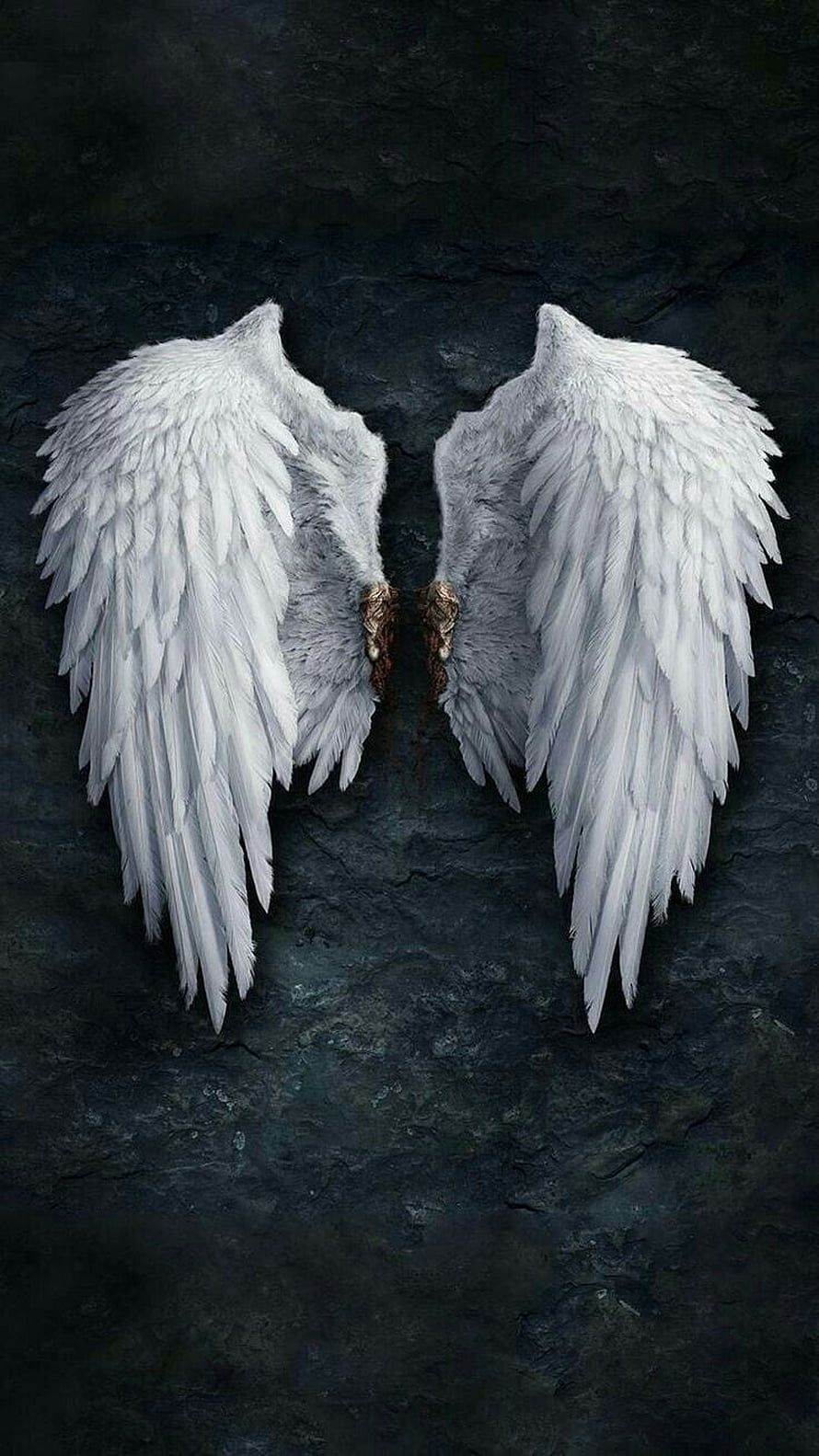 White Angel Wings on Dark Stone Background HD phone wallpaper