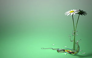 White daisies in a sculptural glass vase on a soft green gradient background HD wallpaper