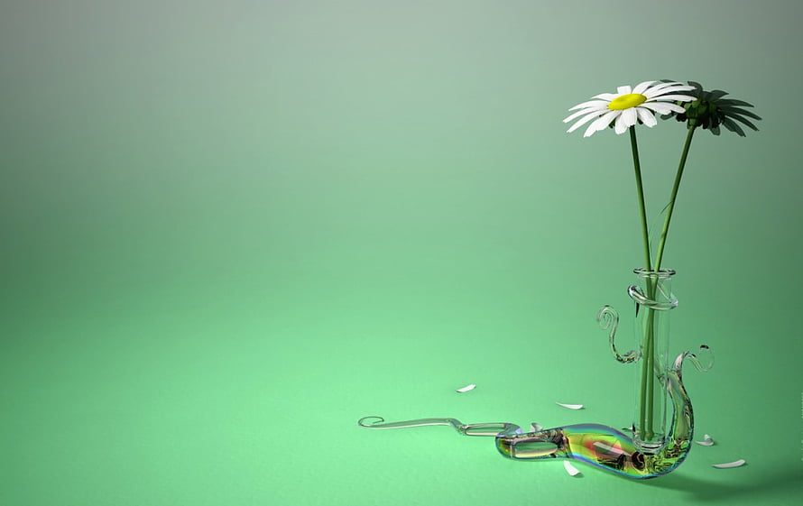White daisies in a sculptural glass vase on a soft green gradient background HD wallpaper