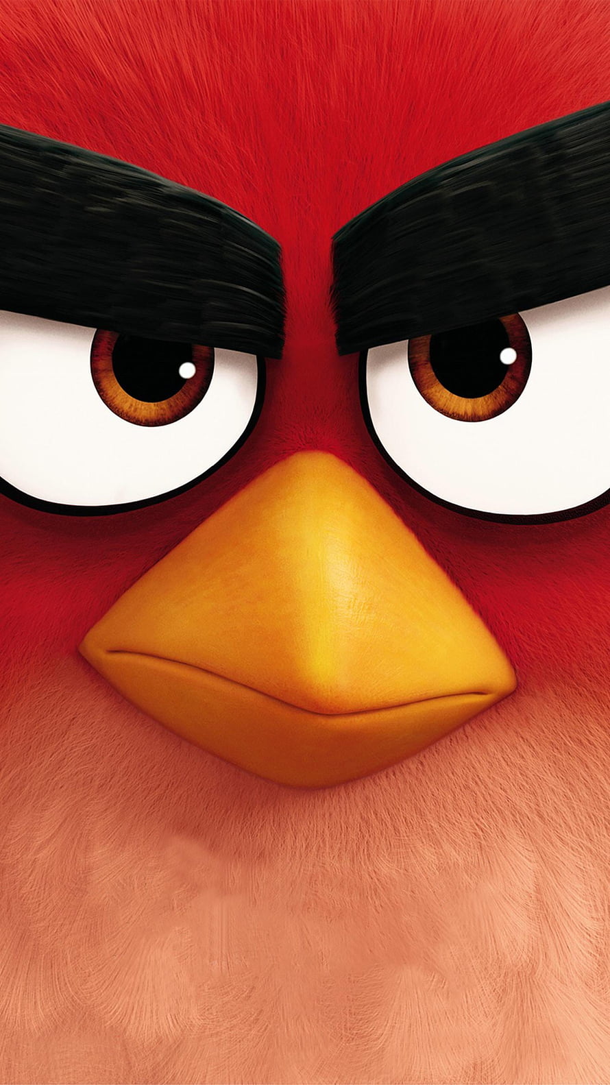 Angry Birds Movie Red Character Close-Up Portrait With Intense Fierce Expression HD phone wallpaper