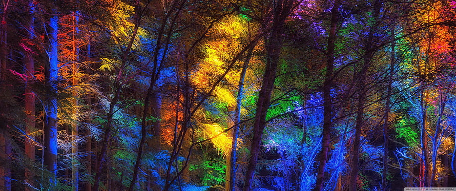 Vibrant Multicolored Forest Canopy with Neon Lighting Effects HD wallpaper