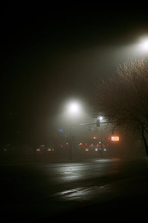 Moody Night Street Scene with Foggy Streetlights and Bare Tree Silhouette HD phone wallpaper