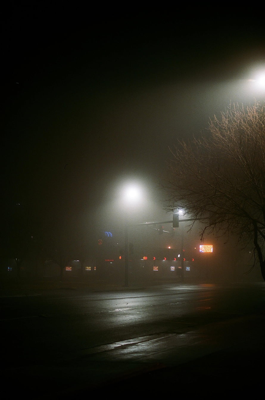 Moody Night Street Scene with Foggy Streetlights and Bare Tree Silhouette HD phone wallpaper