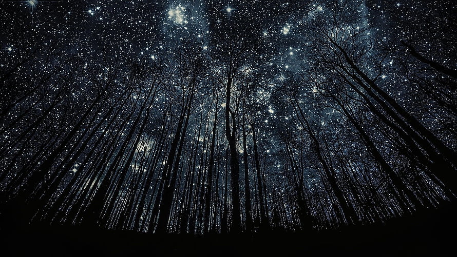 Starry Night Sky Over Silhouetted Forest Trees HD wallpaper