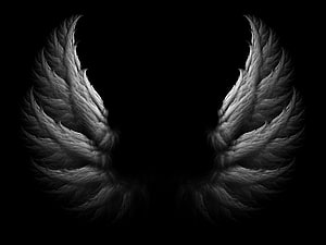 Dark Angel Wings on Black Background, Dramatic Monochrome Feathers HD wallpaper