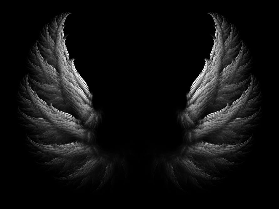 Dark Angel Wings on Black Background, Dramatic Monochrome Feathers HD wallpaper