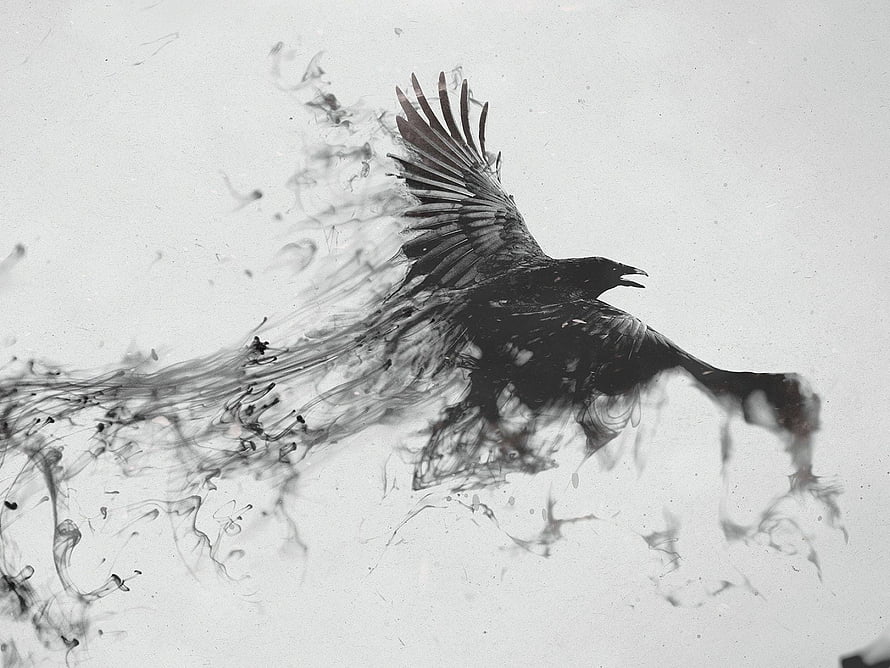Black and white raven in flight with swirling ink smoke effect HD wallpaper