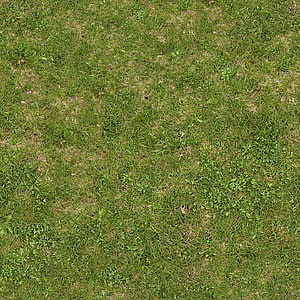 Natural grass texture with clover patches and dry soil for outdoor design HD phone wallpaper