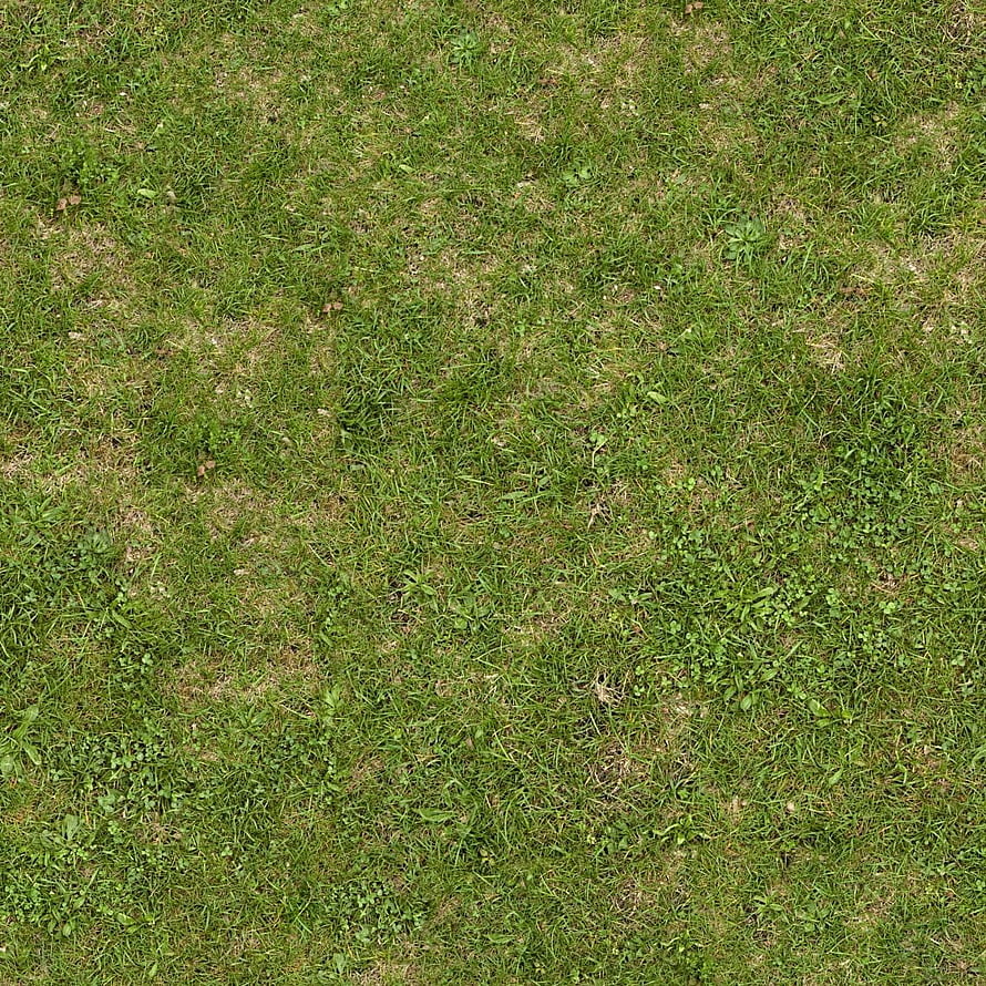 Natural grass texture with clover patches and dry soil for outdoor design HD phone wallpaper