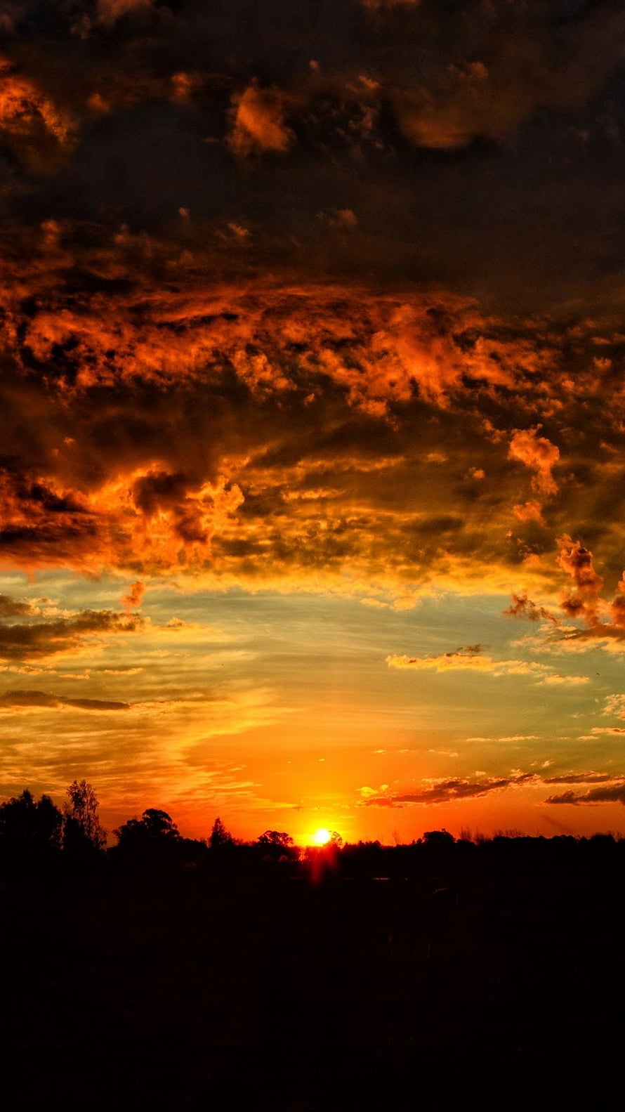 Dramatic Orange Sunset Over Silhouetted Tree Line with Fiery Clouds HD phone wallpaper
