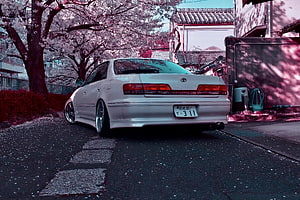 White Toyota Mark II JZX100 Stanced Under Cherry Blossoms in Japan HD wallpaper