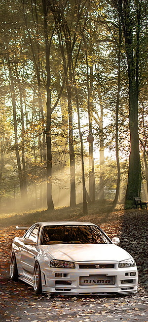 White Nissan Skyline R34 GTR parked on a misty forest path with golden autumn light filtering through the trees HD phone wallpaper