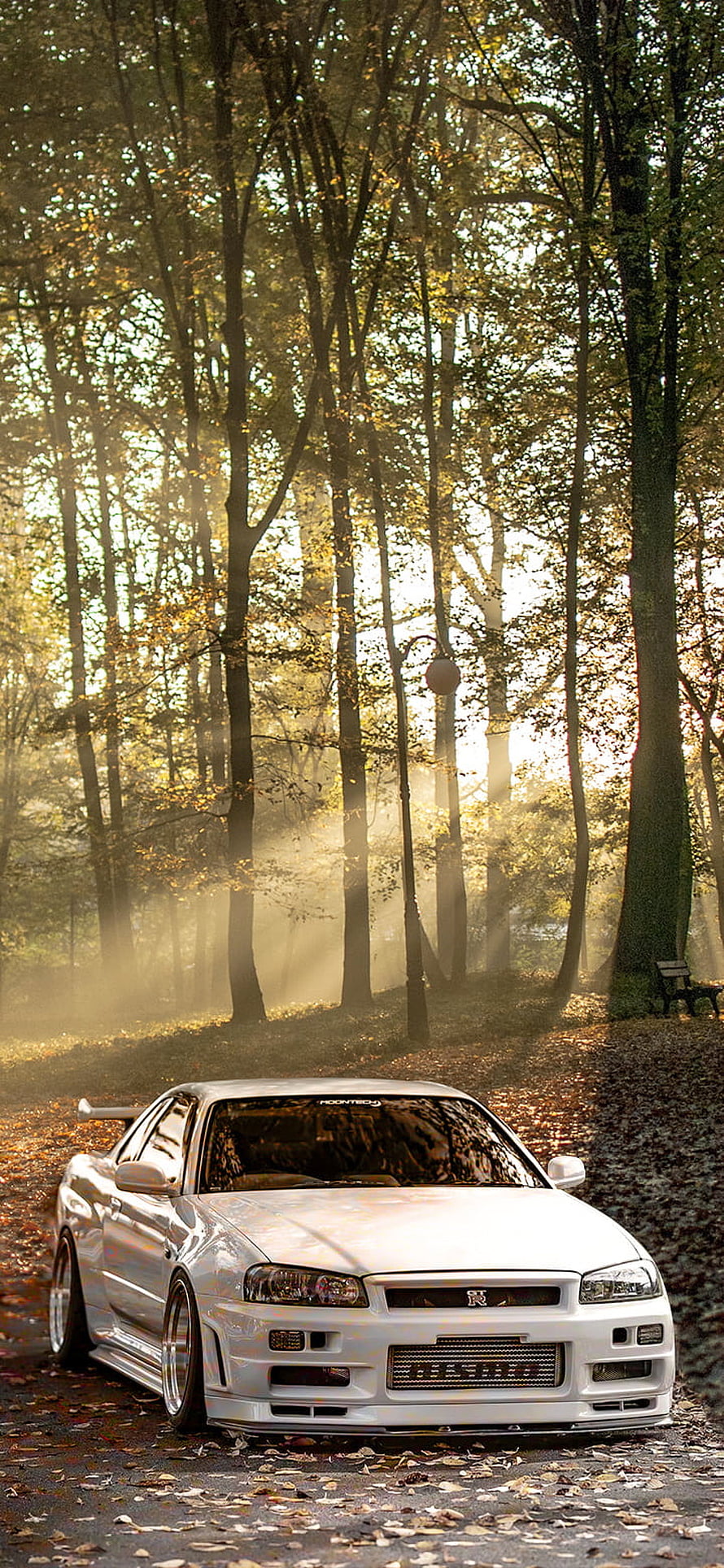 White Nissan Skyline R34 GTR parked on a misty forest path with golden autumn light filtering through the trees HD phone wallpaper
