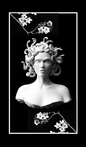 Medusa Bust Sculpture with Cherry Blossoms in Black and White Minimalist Art HD phone wallpaper