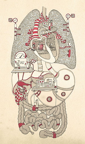 Johan Thörnqvist Human Body Anatomy Illustration with Medical Lab Scenes HD phone wallpaper
