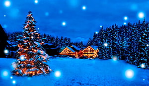 Snowy Christmas Tree and Lit Cabin in Winter Night Landscape HD wallpaper