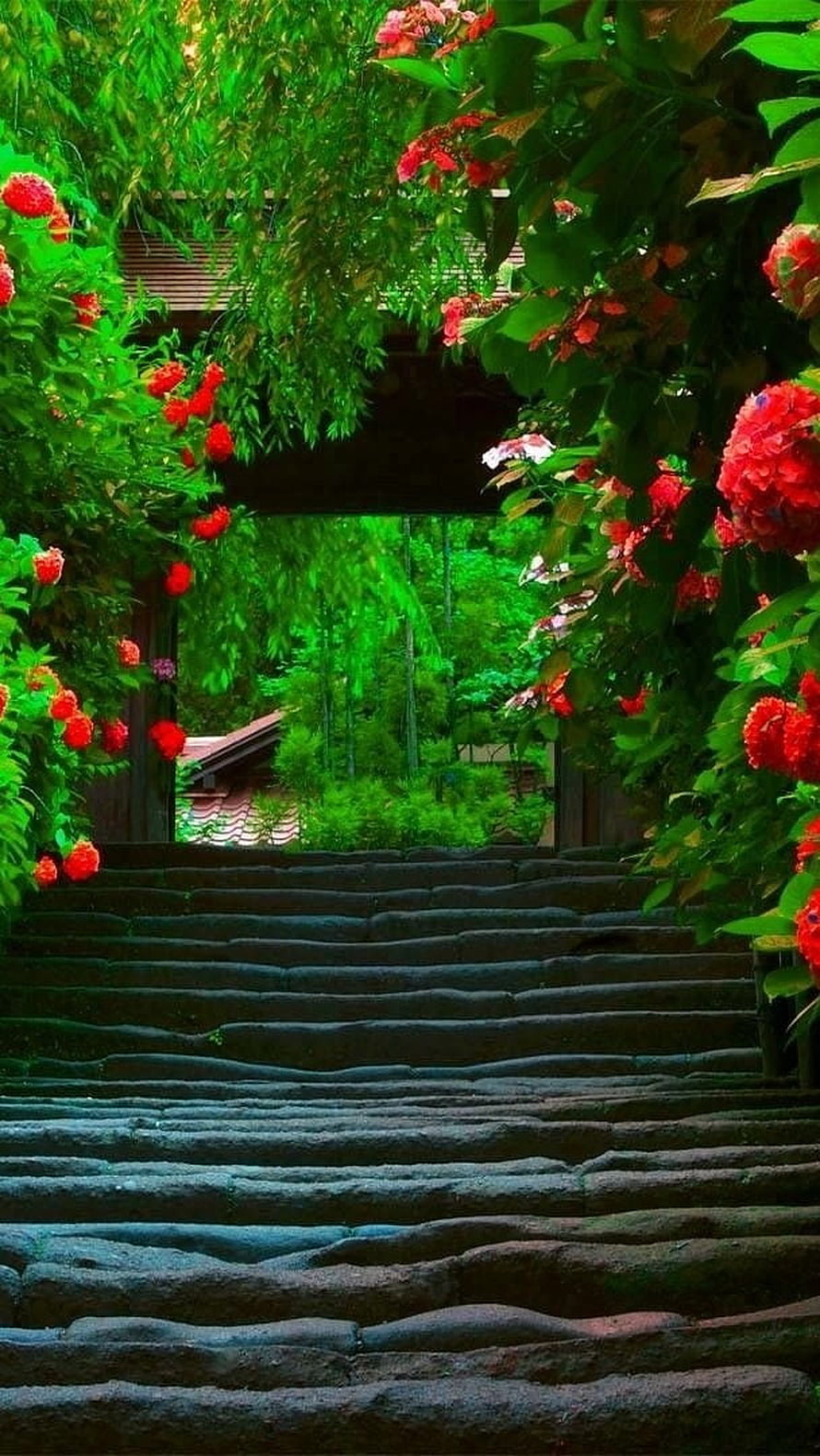 Stone Steps Leading Through a Lush Garden Archway with Vibrant Red Flowers HD phone wallpaper