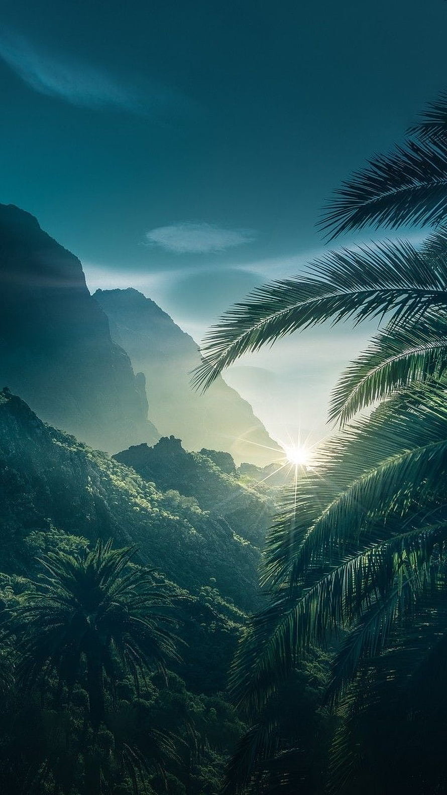 Tropical Mountain Valley Sunrise with Palm Fronds and Sunburst HD phone wallpaper