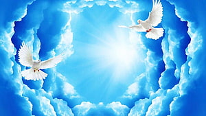 Two White Doves Soaring Through a Heart-Shaped Opening in Blue Clouds HD wallpaper