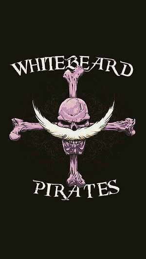 Whitebeard Pirates Jolly Roger Emblem with Skull and Crossed Bones HD phone wallpaper