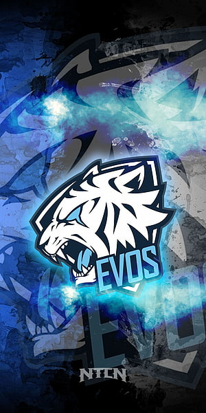 EVOS Esports Logo with Fierce Tiger Mascot and Blue Neon Glow on Dark Grunge Background HD phone wallpaper