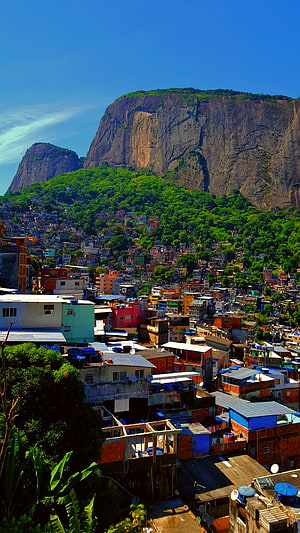 Vibrant Favela Houses Cascading Down a Lush Green Hillside in Rio de Janeiro HD phone wallpaper