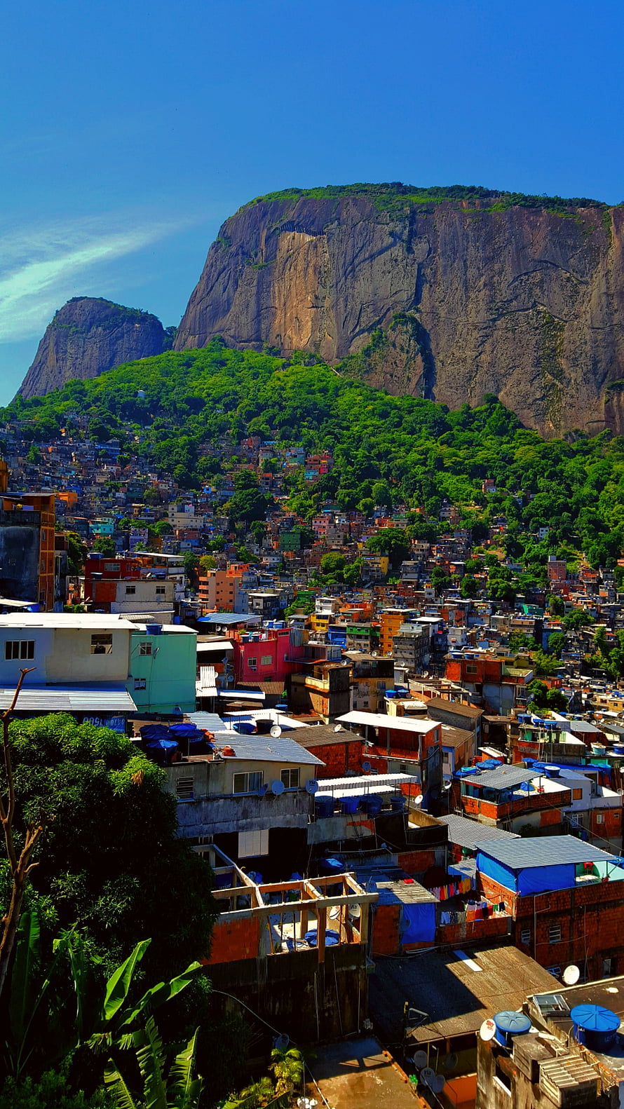 Vibrant Favela Houses Cascading Down a Lush Green Hillside in Rio de Janeiro HD phone wallpaper