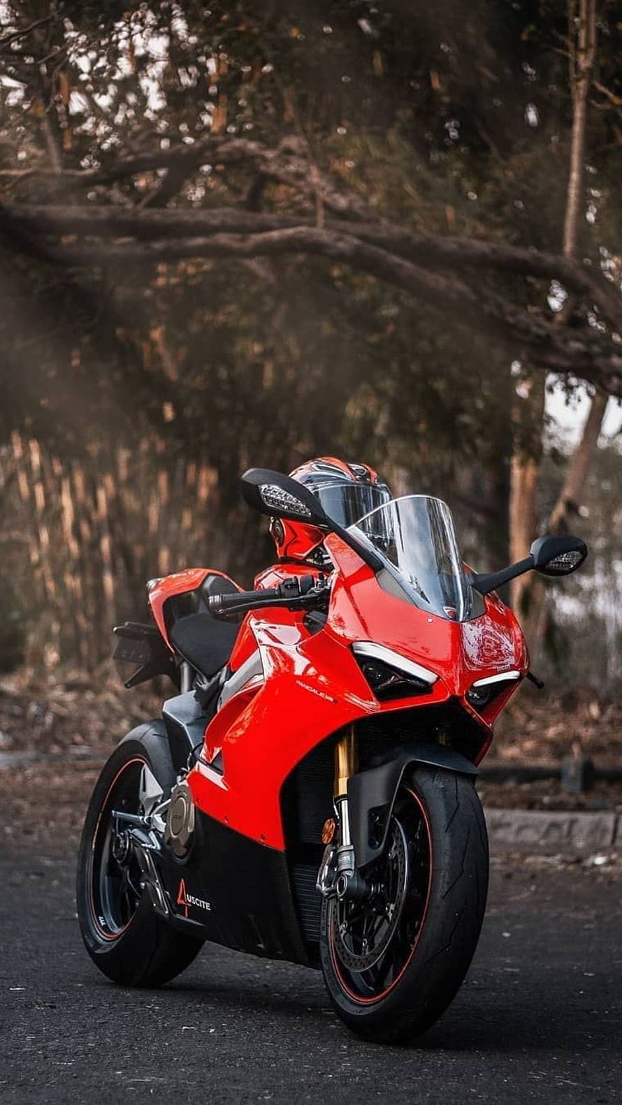 Red Ducati Panigale V4 Superbike Parked on Forest Road HD phone wallpaper