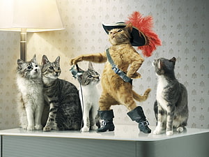 Five Cats in a Room with One Dressed as a Pirate with a Feathered Hat and Boots HD wallpaper