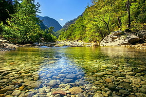 Crystal Clear Mountain Stream with Emerald Waters and Lush Green Forest HD wallpaper