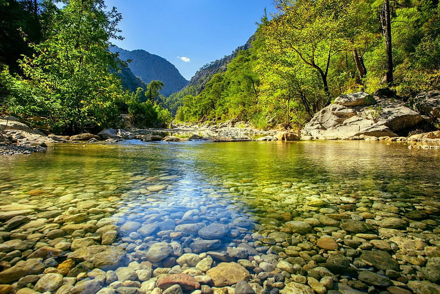 Crystal Clear Mountain Stream with Emerald Waters and Lush Green Forest HD wallpaper