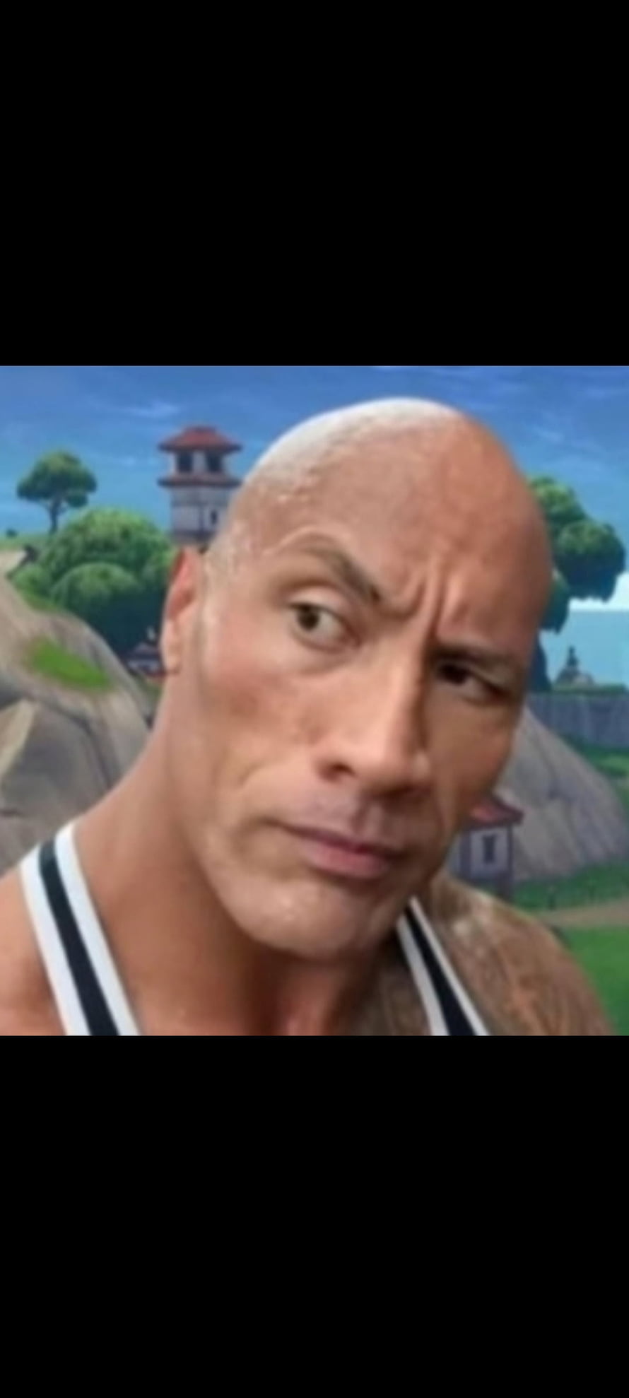 The Rock Suspicious Eyebrow Meme Portrait With Cartoon Village Background HD phone wallpaper