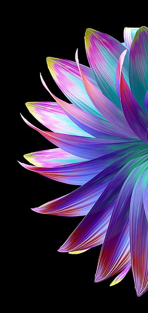 Vibrant Iridescent Lotus Petals on Black Background HD phone wallpaper