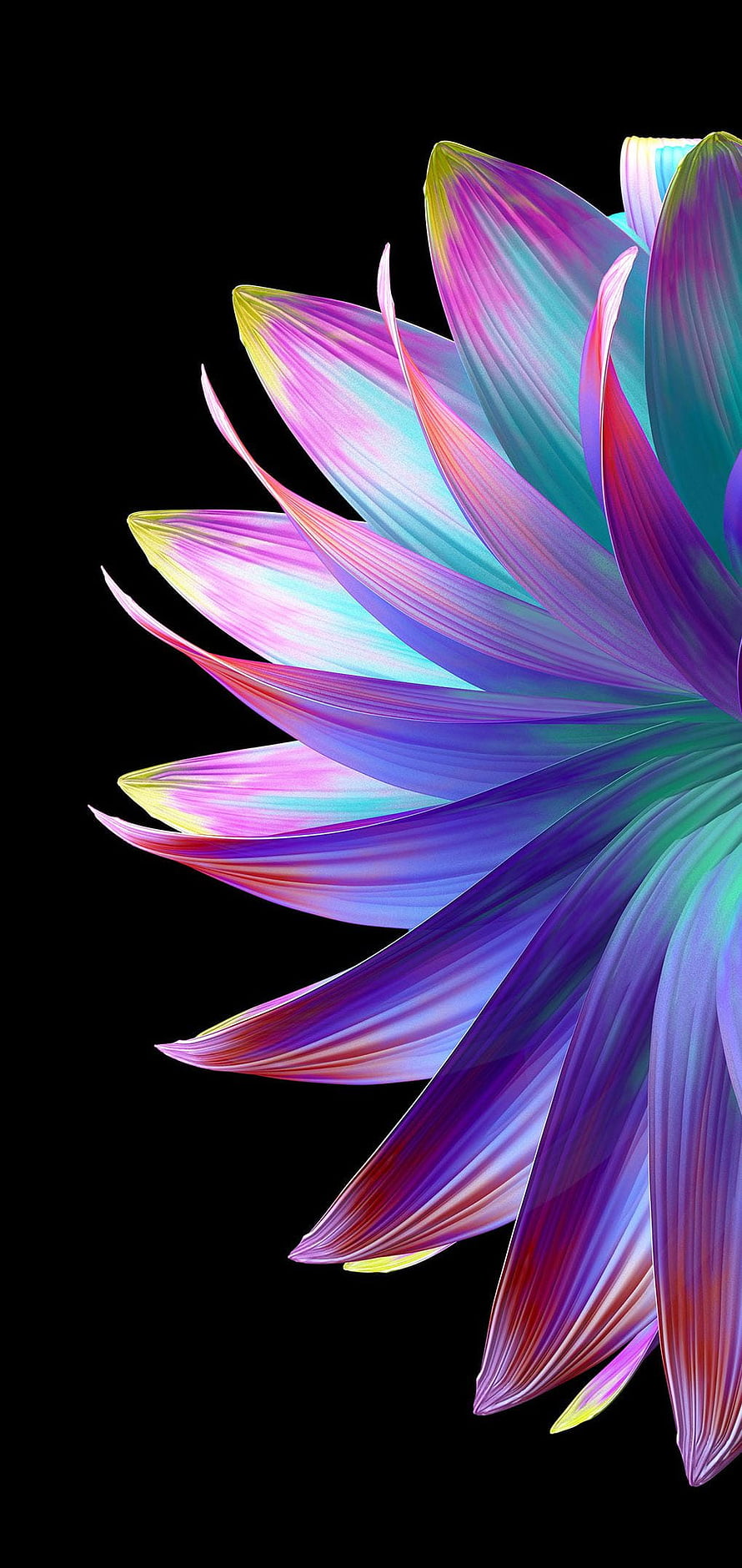 Vibrant Iridescent Lotus Petals on Black Background HD phone wallpaper