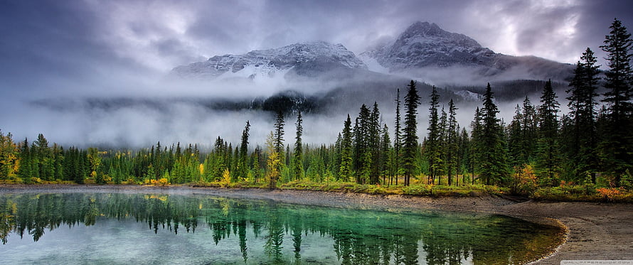 Misty Mountain Lake with Turquoise Water and Pine Forest Reflections HD wallpaper