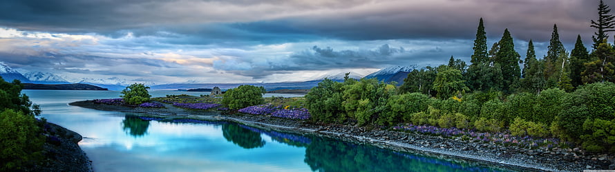 Lake Tekapo Panorama with Purple Lupines and Snow-Capped Mountains Under Dramatic Clouds HD wallpaper