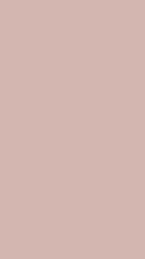 Minimalist Solid Beige Monochromatic Texture for Clean and Calm Digital Design HD phone wallpaper