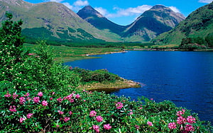 Scenic Highland Lake View With Pink Rhododendrons And Green Mountain Slopes HD wallpaper