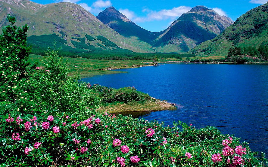 Scenic Highland Lake View With Pink Rhododendrons And Green Mountain Slopes HD wallpaper