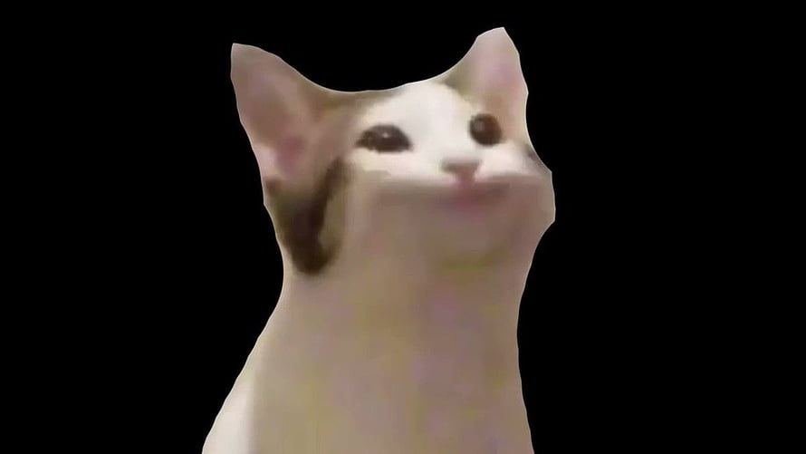 Pop Cat Meme Character with Smug Expression on Black Background HD wallpaper