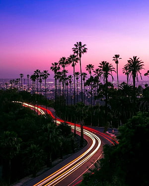 California Sunset Over Palm Trees With Long Exposure Highway Light Trails HD phone wallpaper