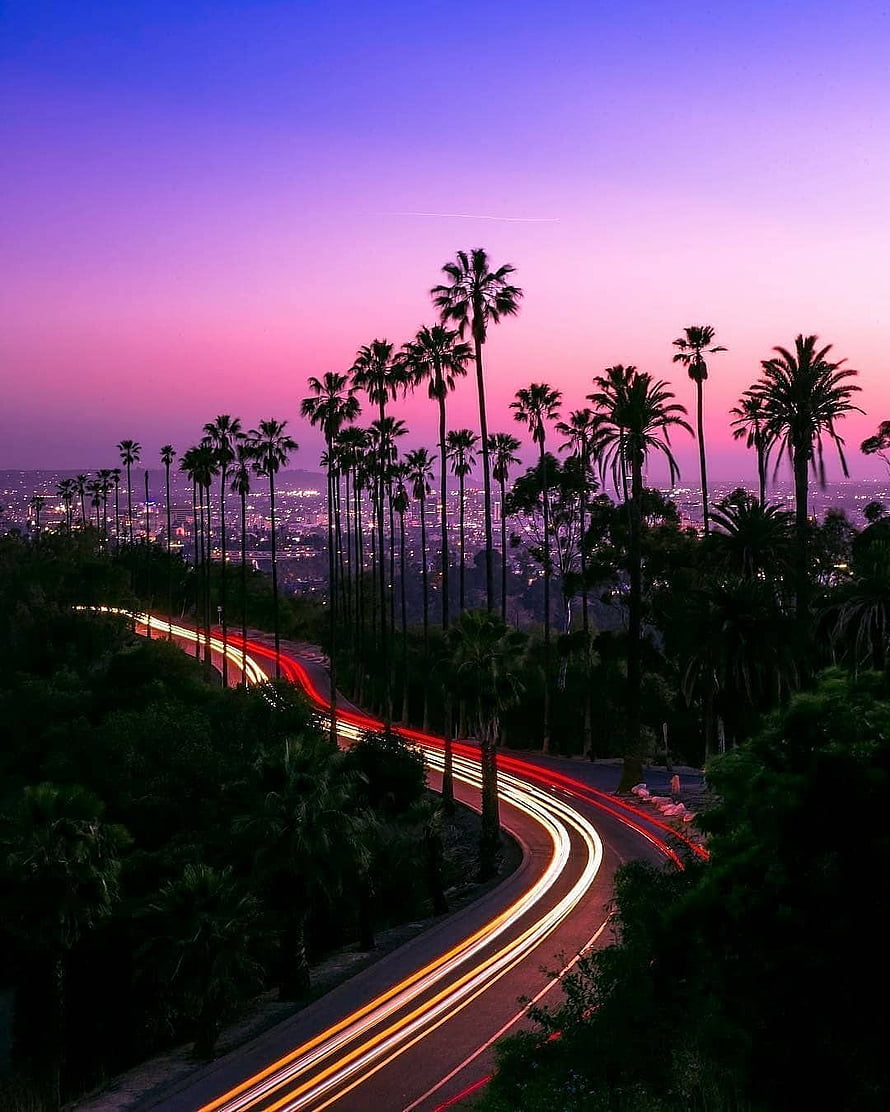California Sunset Over Palm Trees With Long Exposure Highway Light Trails HD phone wallpaper
