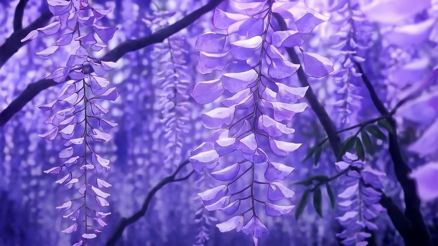 Demon Slayer Wisteria Blossoms in Soft Purple Light HD wallpaper